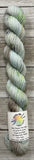 Show Stopper Mini Skein