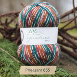 Signature 4 Ply