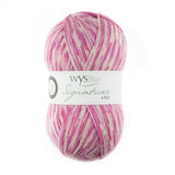 Signature 4 Ply