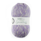 Signature 4 Ply