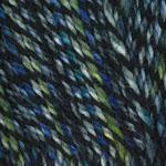 Encore Worsted Colorspun