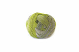 Zauberball® Stärke 6