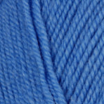 Encore Worsted