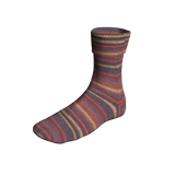 Super Soxx 8-ply National Parks Soxx