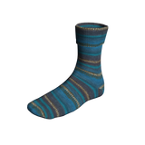 Super Soxx 8-ply National Parks Soxx