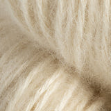 Aurelia