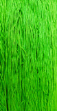 The Gentle Art Floss F - O