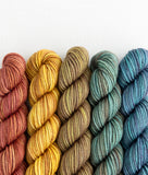 Party of Five: Superwash DK
