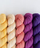 Party of Five: Superwash DK