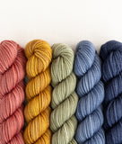 Party of Five: Superwash DK