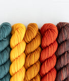 Party of Five: Superwash DK