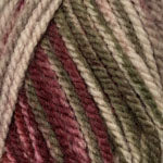 Encore Chunky Colorspun